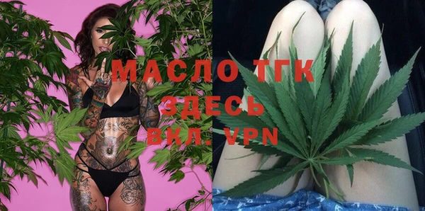 крисы Верхний Тагил