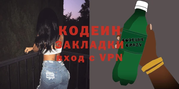 крисы Верхний Тагил