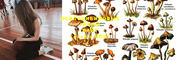 крисы Верхний Тагил