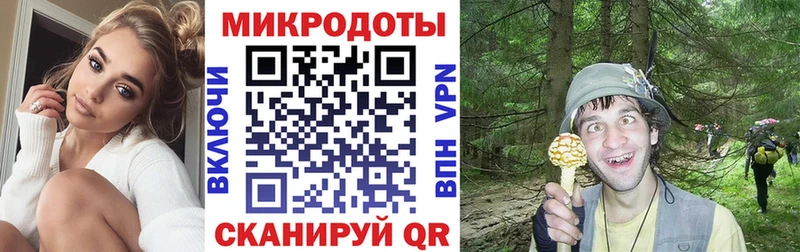 где можно купить наркотик  Дубна  Псилоцибиновые грибы ЛСД 