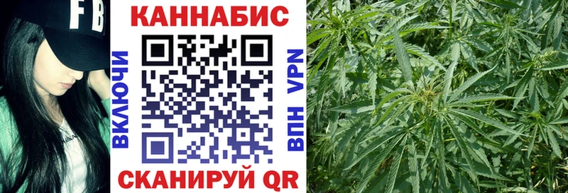 Бошки Шишки AK-47  Дубна 